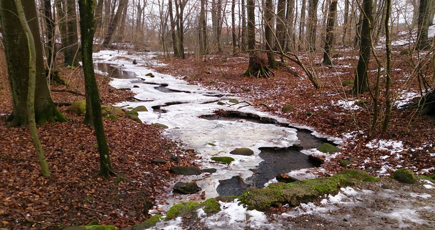 Bæk i Hellebæk.JPG